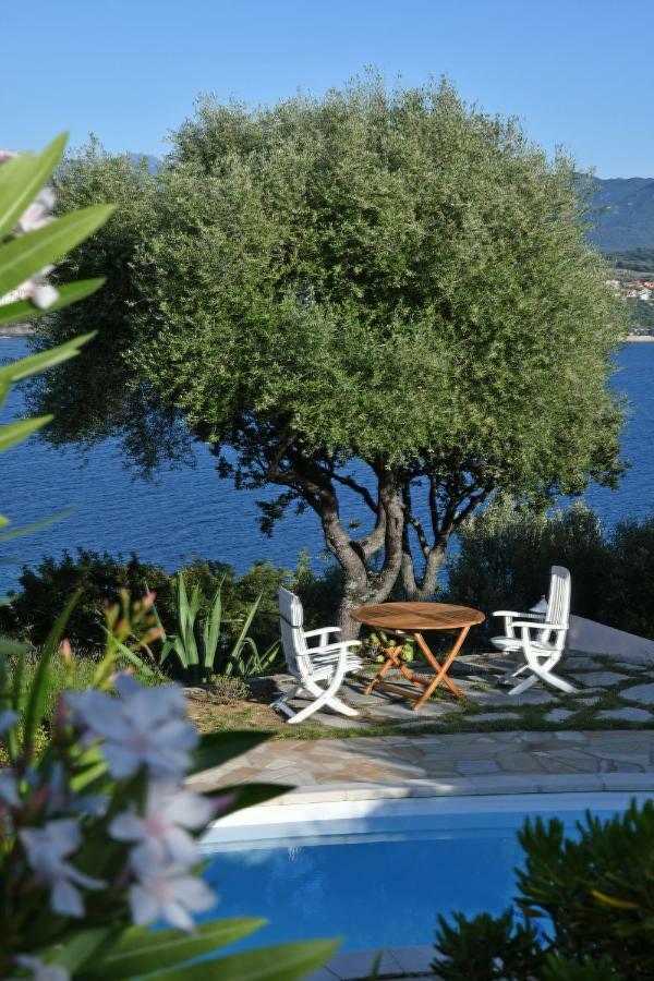 Villa Vetricella Corse Sud Olmeto  Exteriör bild