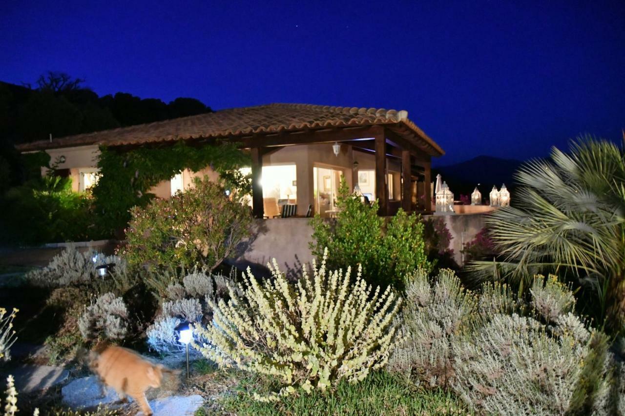 Villa Vetricella Corse Sud Olmeto  Exteriör bild